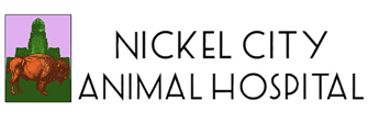 Link to Homepage of Nickel City Animal Hospital